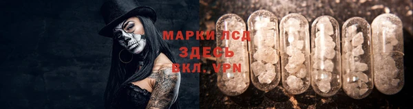 шишки Коряжма