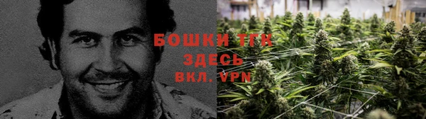 кокаин колумбия Алзамай