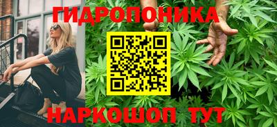 бошки Владивосток