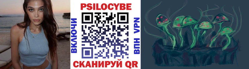 маркетплейс как зайти  mega маркетплейс  Боровичи  Псилоцибиновые грибы Cubensis 