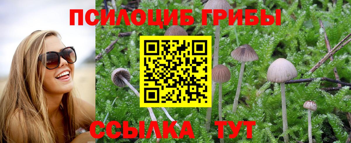 Галлюциногенные грибы ЛСД Боровичи