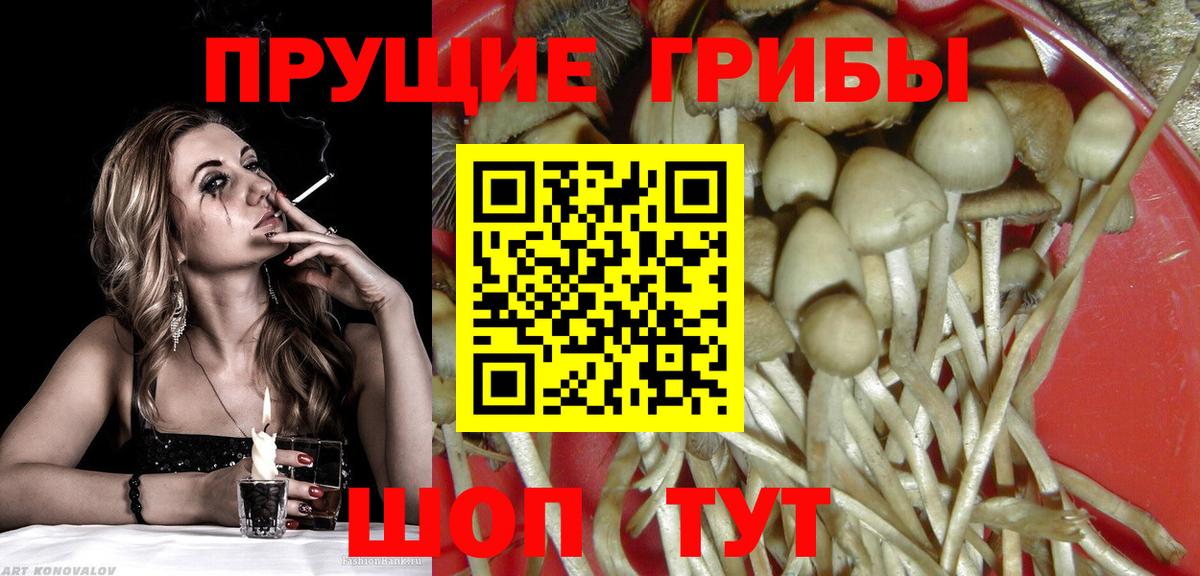 Боровичи  Галлюциногенные грибы MAGIC MUSHROOMS  наркота  Вход с VPN 
